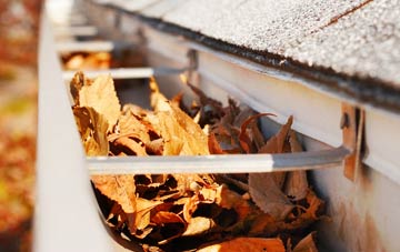 Thruscross gutter cleaning companies