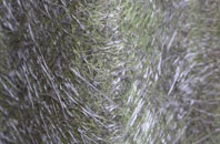 Thruscross fibreglass roof work